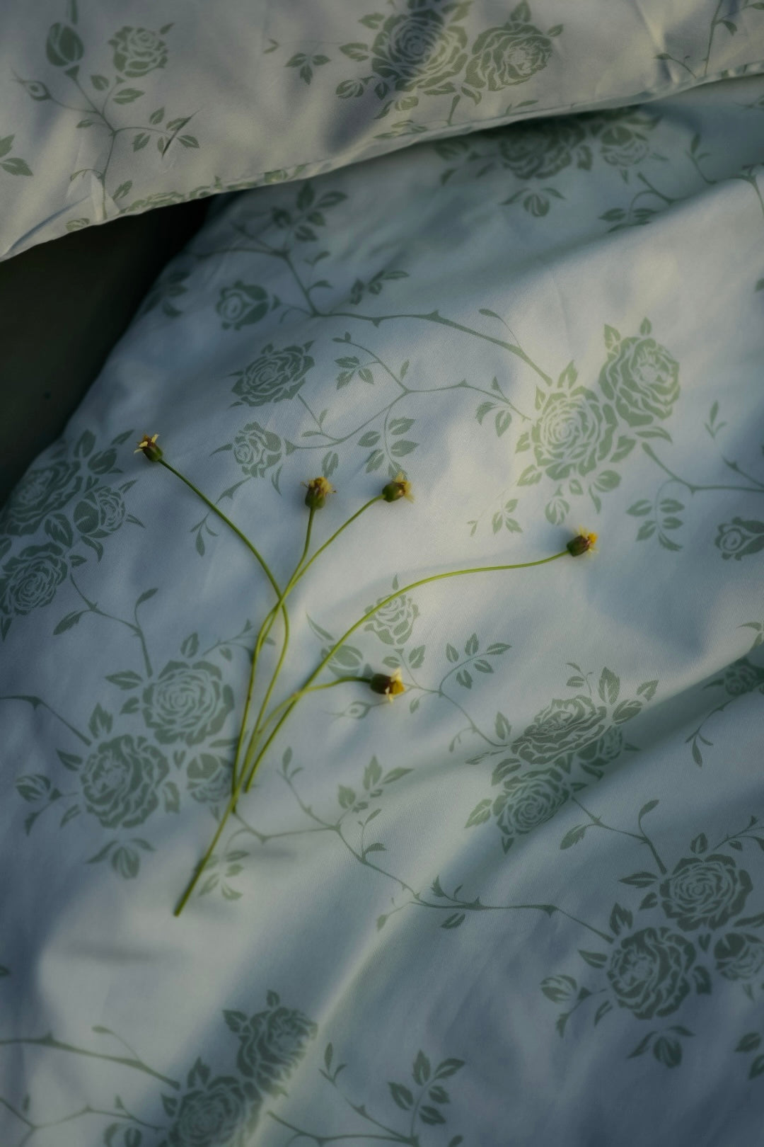 Sage rose  - 7 piece duvet cover set