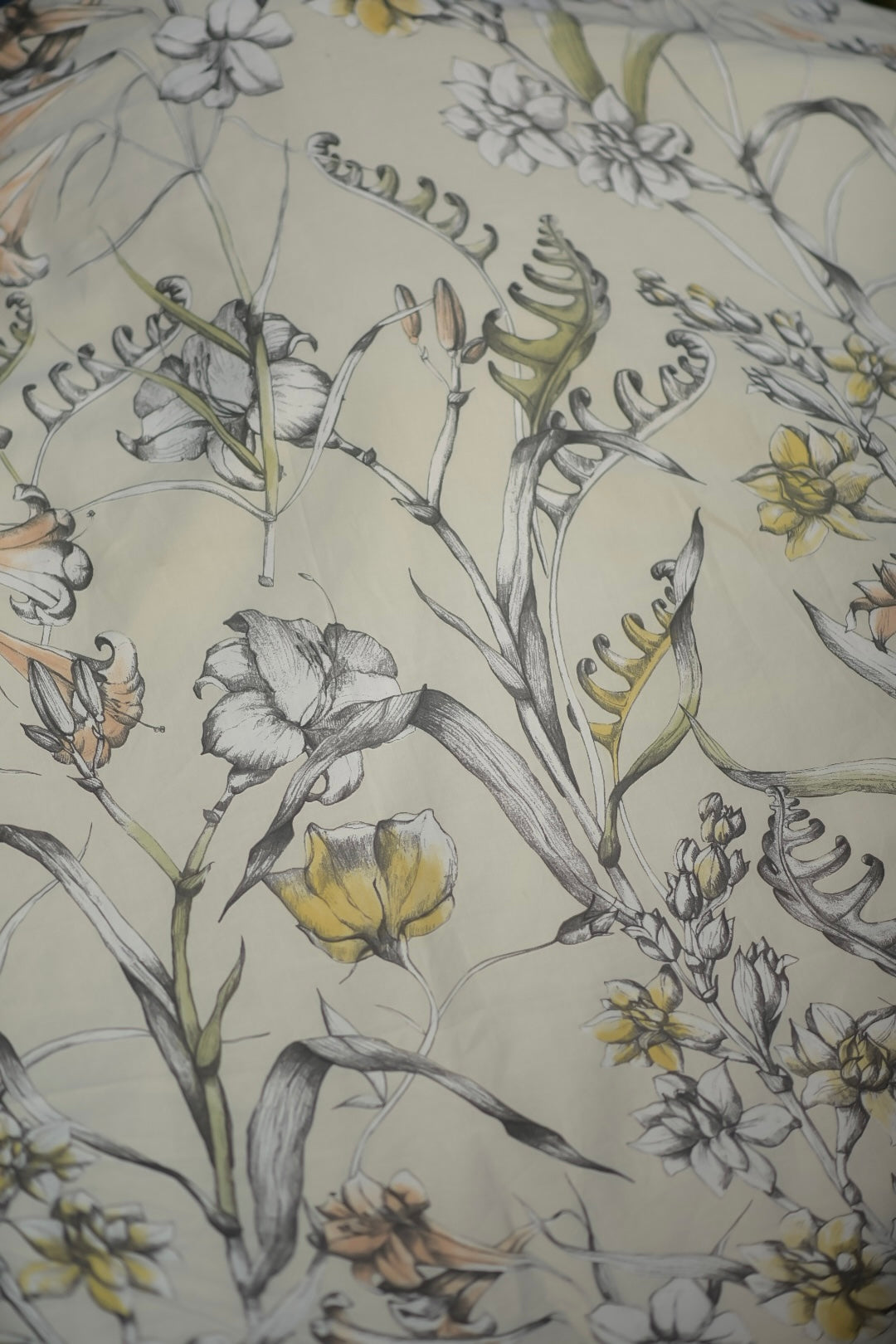 Meadow Sketch