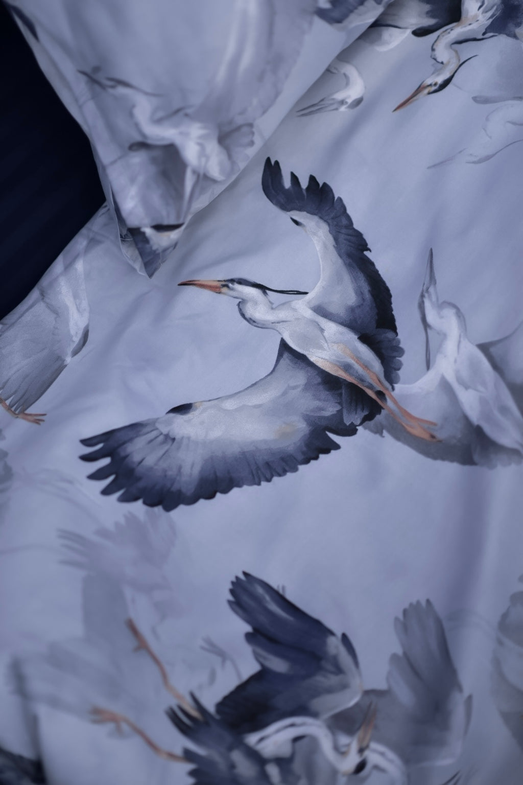 Flight of Serenity